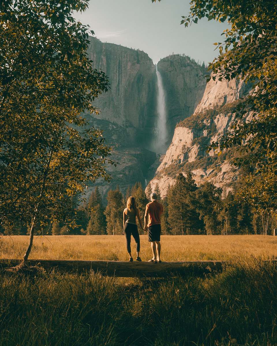 walking couple standing on tree trunk looking at field and forest tree